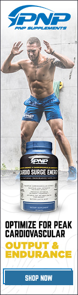 Supplement